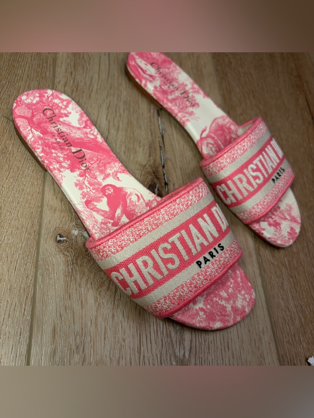Dior Dway Embroidered Slides - Picture 2 of 6
